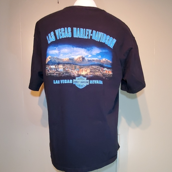 Harley-Davidson Eagle Flying High Over Las Vegas - Picture 3 of 5